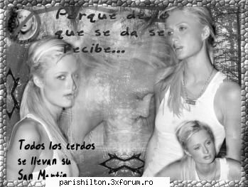 alta album-foto